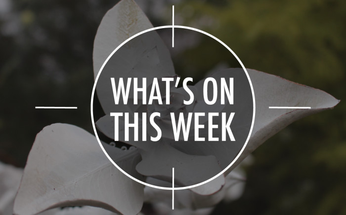 What’s On 9 – 13 May